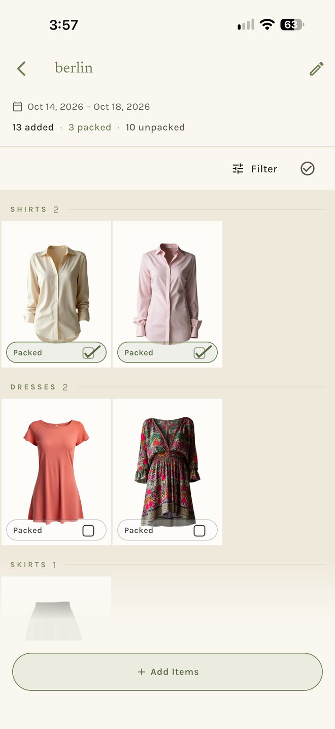 Trip detail: packing list grouped by category with packed ticks